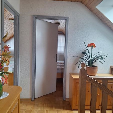 Apartmaji Marinka Hodnik ボーヒニ エクステリア 写真