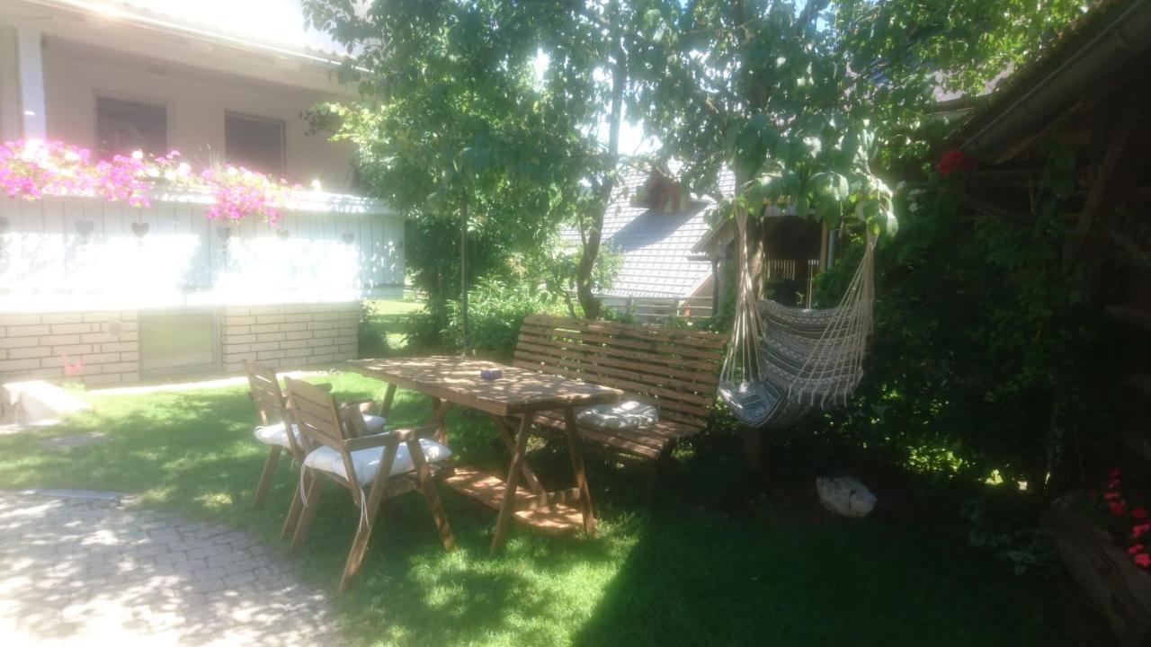 Apartmaji Marinka Hodnik ボーヒニ エクステリア 写真