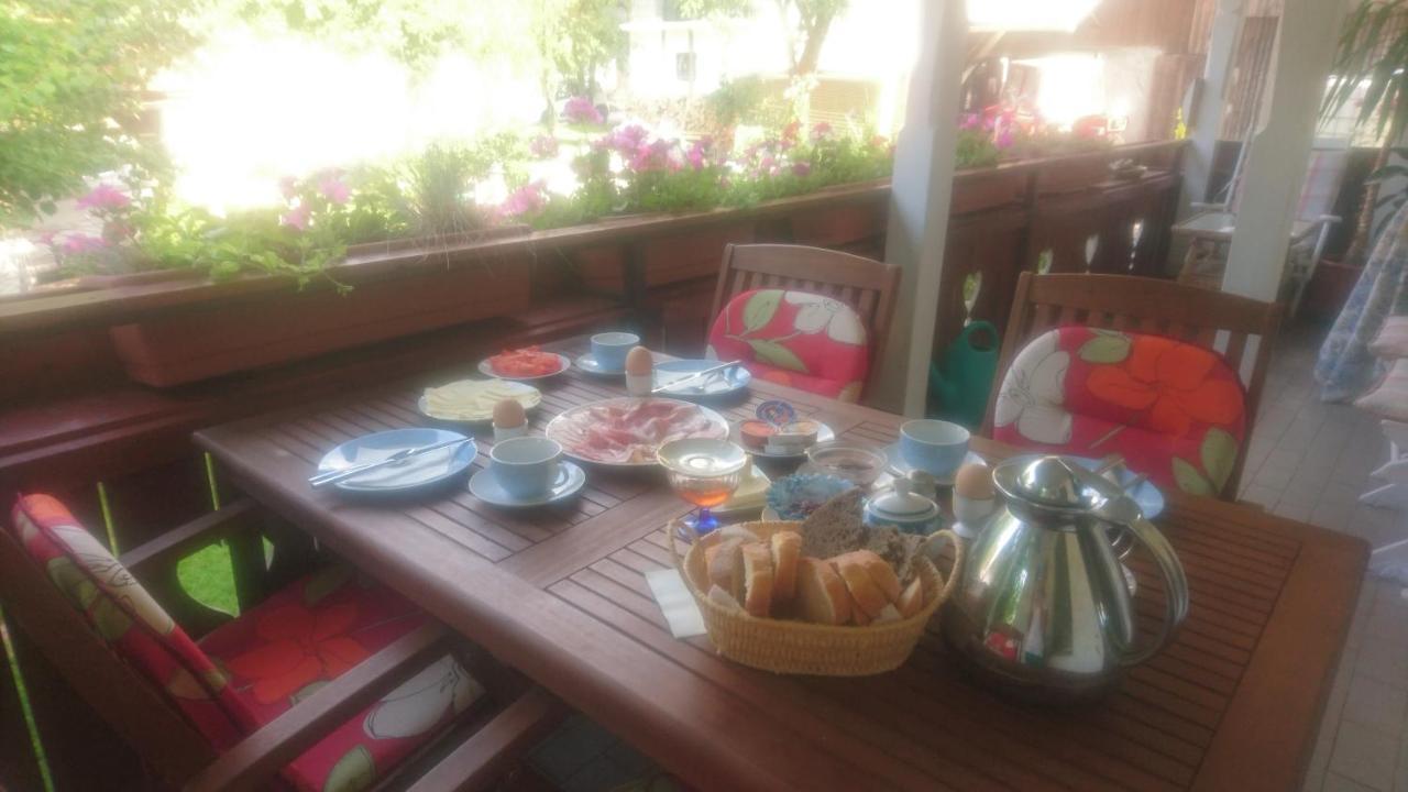 Apartmaji Marinka Hodnik ボーヒニ エクステリア 写真