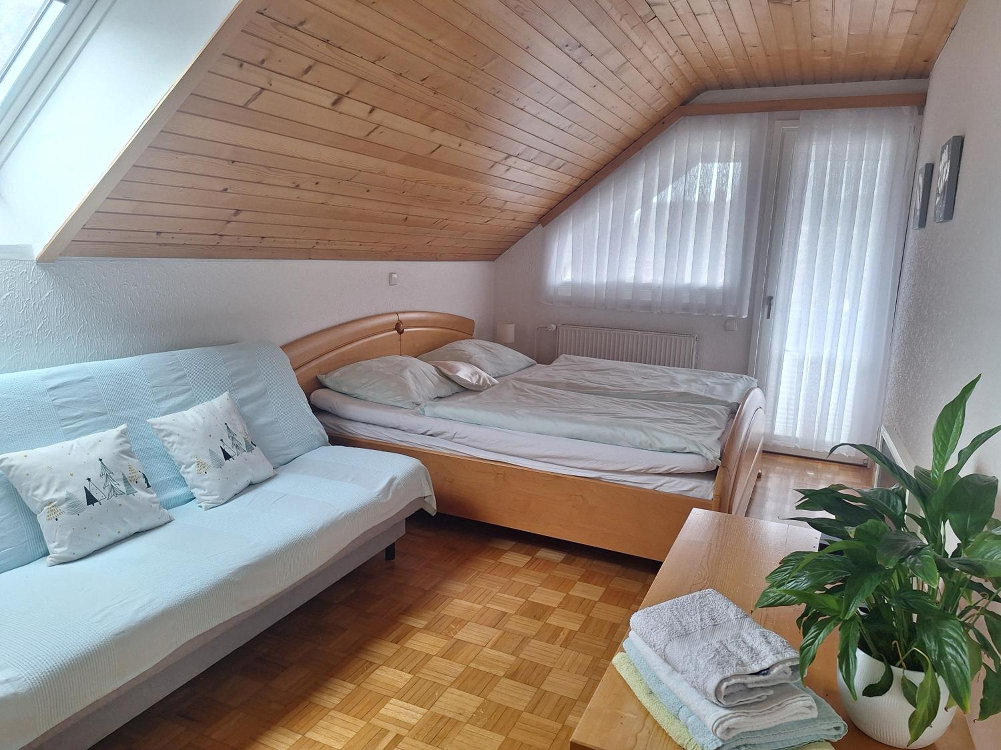Apartmaji Marinka Hodnik ボーヒニ エクステリア 写真