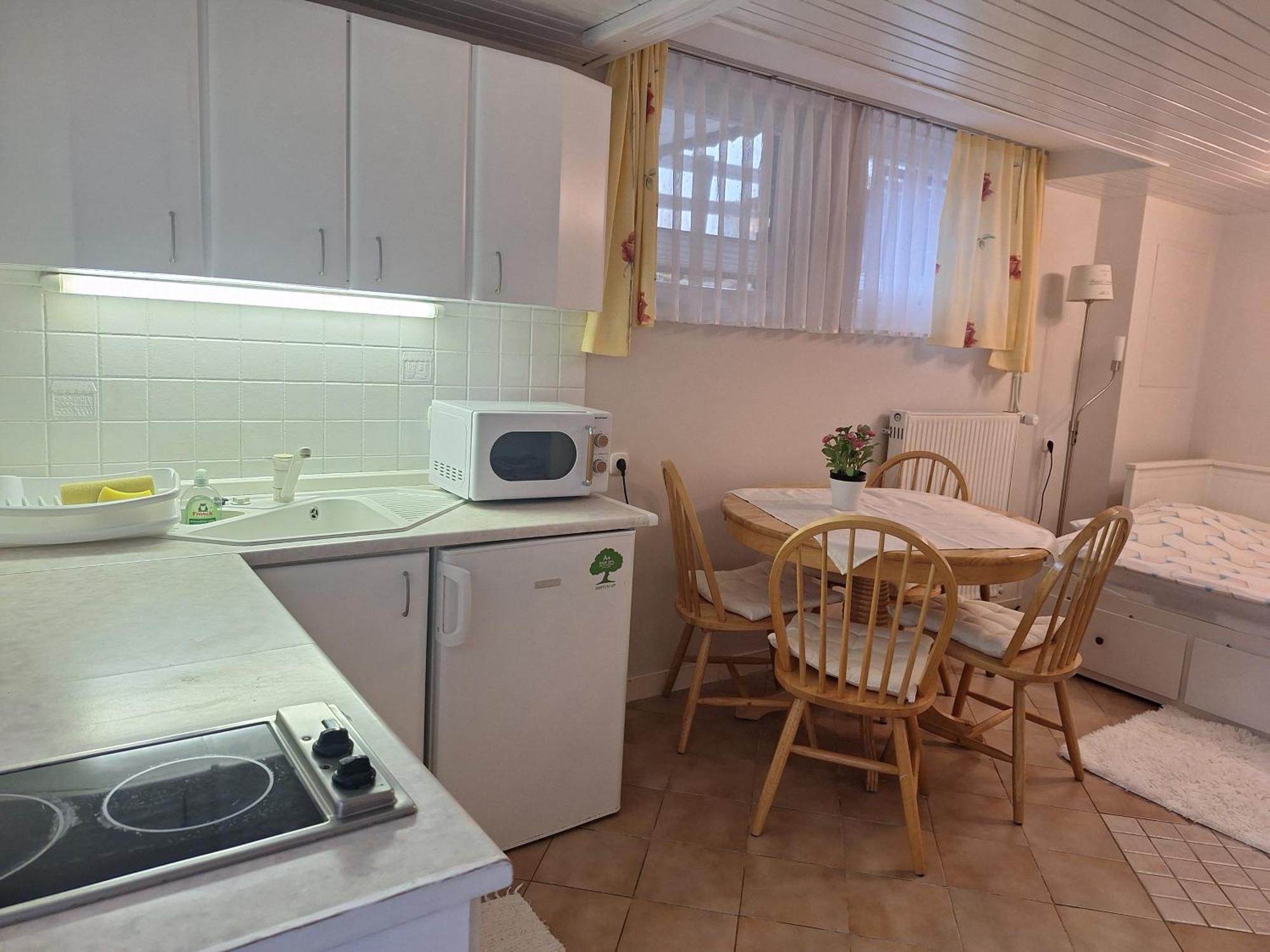 Apartmaji Marinka Hodnik ボーヒニ エクステリア 写真