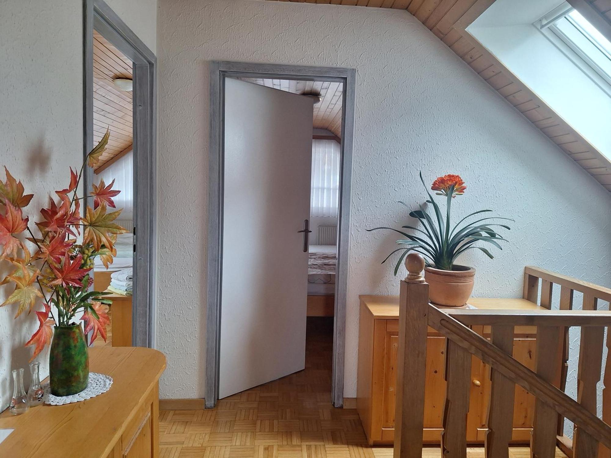 Apartmaji Marinka Hodnik ボーヒニ エクステリア 写真