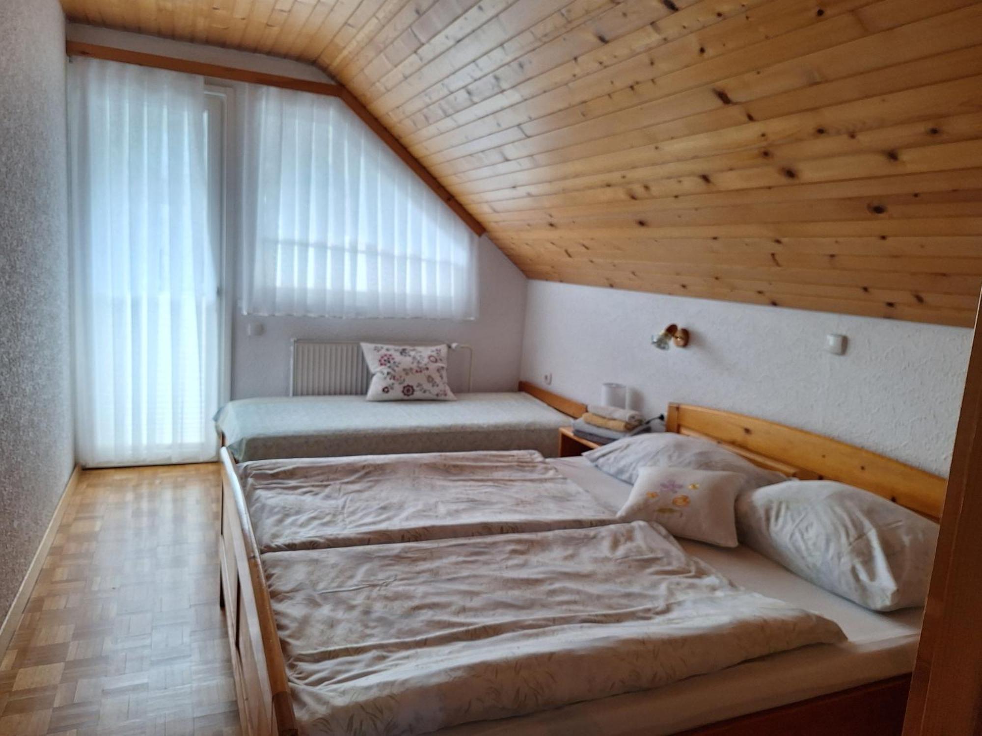 Apartmaji Marinka Hodnik ボーヒニ 部屋 写真