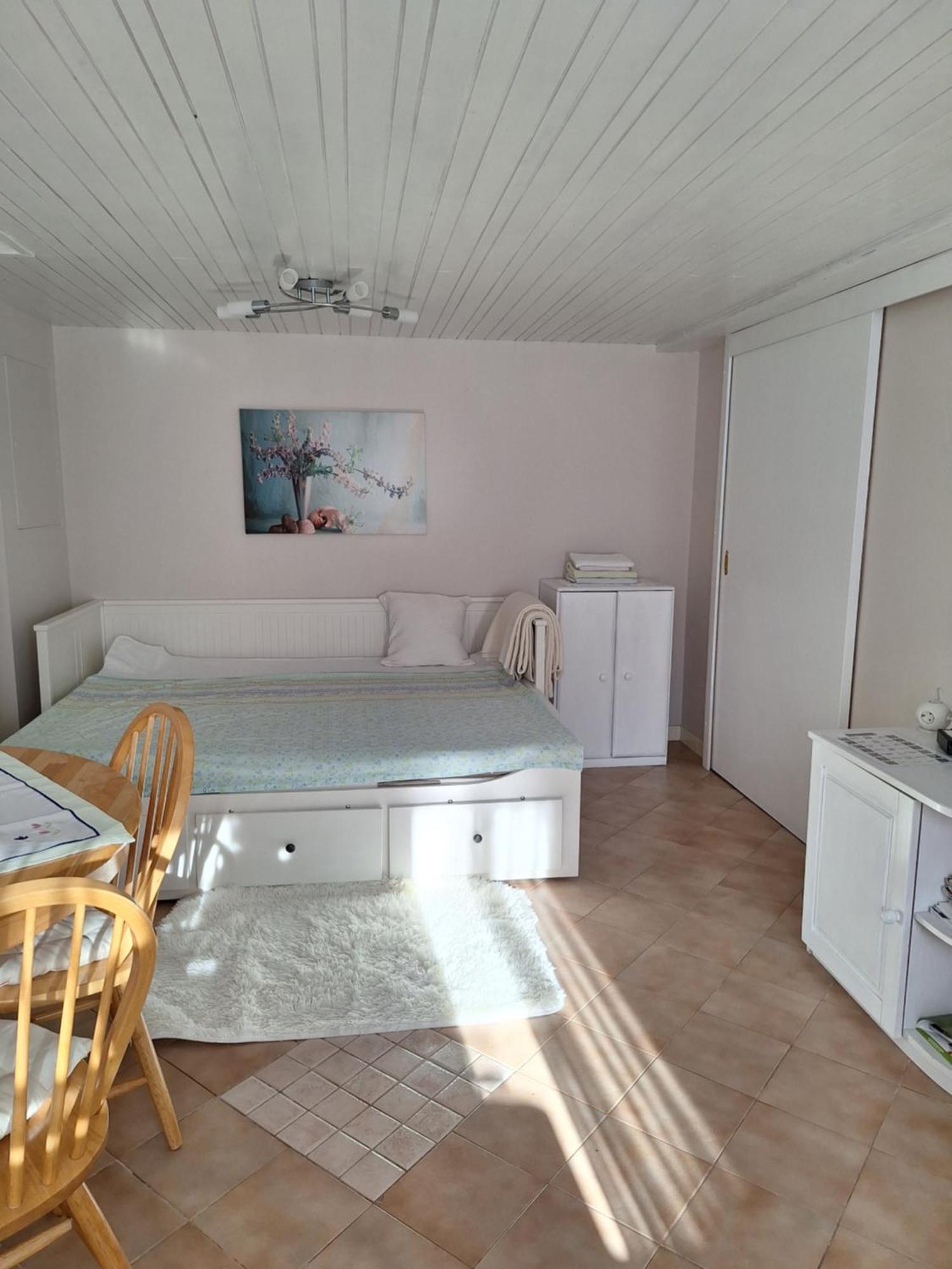 Apartmaji Marinka Hodnik ボーヒニ エクステリア 写真