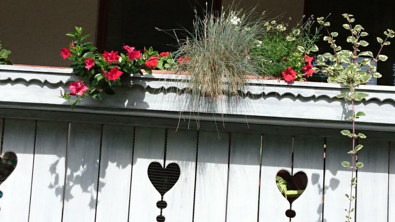 Apartmaji Marinka Hodnik ボーヒニ エクステリア 写真