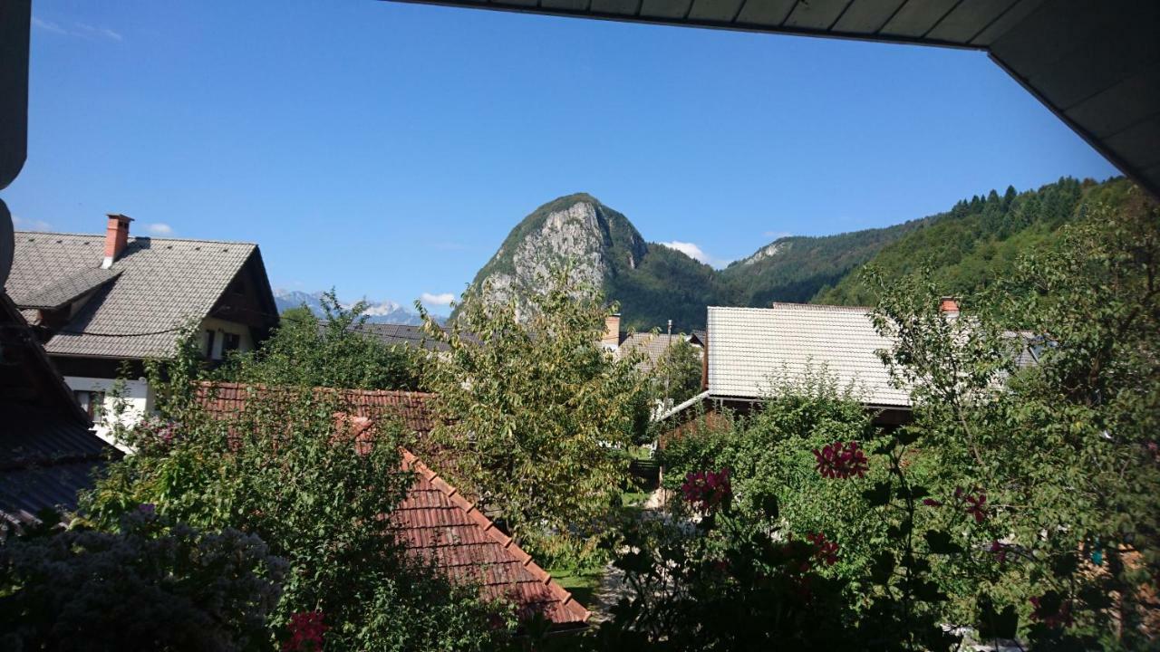 Apartmaji Marinka Hodnik ボーヒニ エクステリア 写真